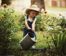 fotolia-56071860-m.jpg fotolia-56071860-m.jpg
