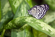fotolia-63189766-m.jpg fotolia-63189766-m.jpg