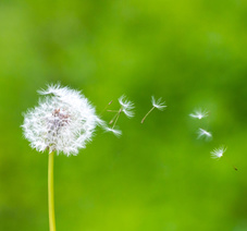 fotolia-66759029-xl.jpg fotolia-66759029-xl.jpg