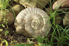 2010-aurum-cordis0168.jpg 2010-aurum-cordis0168.jpg